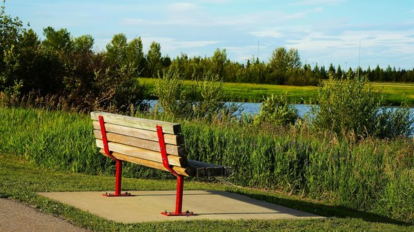 How does the presence of chronic inflammation affect overall health outcomes?